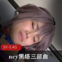 ncy黑塔三部曲 [3V-5.4G]