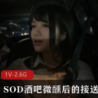 SOD酒吧微醺后的接送-南梨央奈[1V-2.6G]