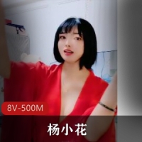 杨小花-极S~舞蹈秀~ [8V-500M]