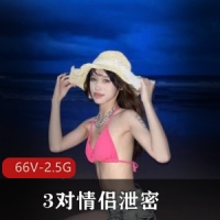 3对情侣泄密！ [66V-2.5G]